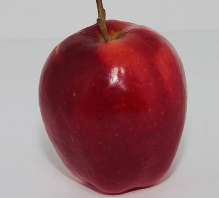 red-delicious red-delicious